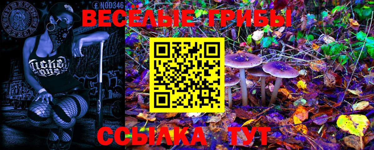 Фрязино  Галлюциногенные грибы Psilocybine cubensis  Вход с VPN 